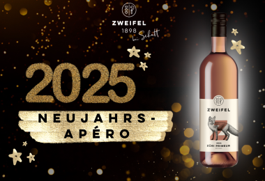 Neujahrs-Apéro bei Schatt