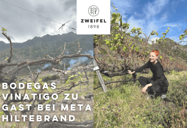 Bodegas Vinatigo zu Besuch in Zürich